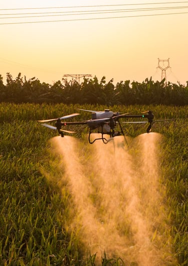 DJI Agras T50 agrodronas