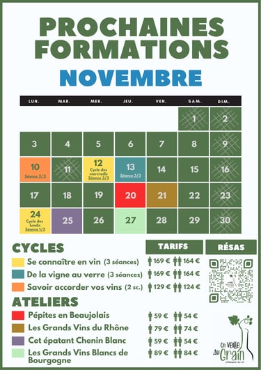 cours oenologie novembre 2025 dégustation de vins lyon on veille au grain