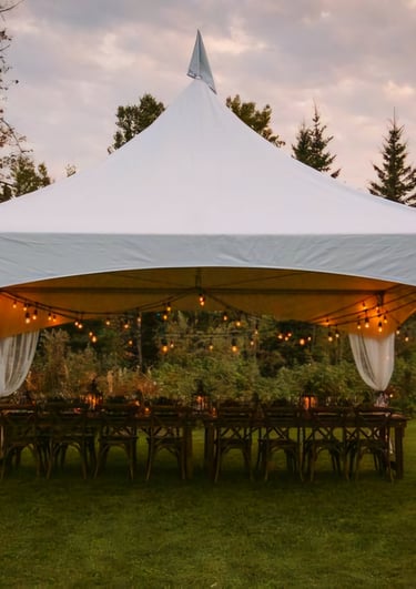 Carpa 20x20 en el patio de una casa, adornada con luces, sillas, mesas
