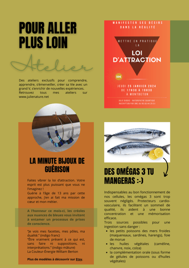 atelier loi d'attraction