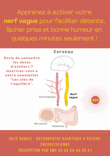 Atelier Nerf Vague Julie Dubois Naturopathe