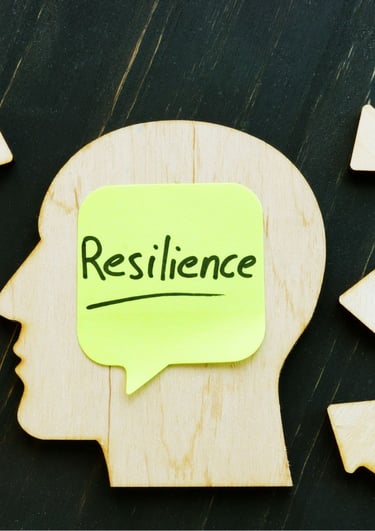 Building Resilience: Managing Stress in Professional Environments