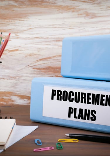 Procurement Planning Fundamentals: A Course on Efficiency, Effectiveness, and Economy
