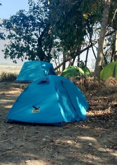 camp into Bardiya National Park