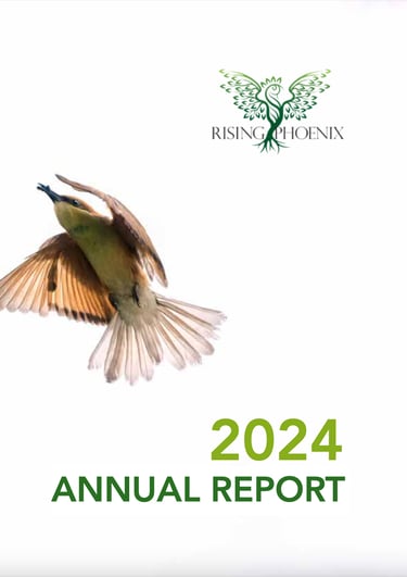 2024 Report