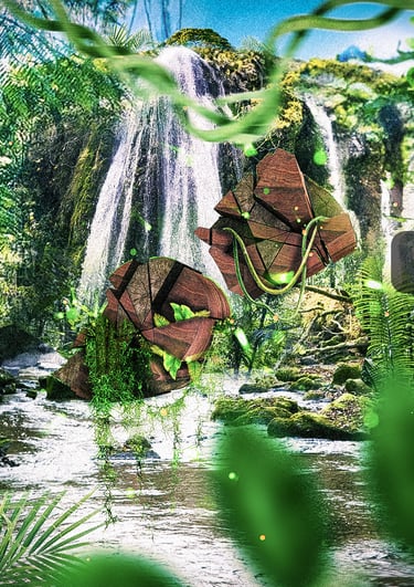 photomanip graphfr