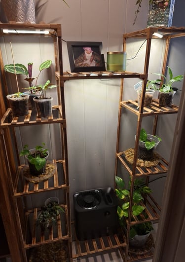 Indoor plant stand with built-in grow lights for houseplants.