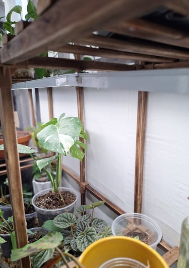 Barrina grow lights for indoor houseplants used in my Quiet at Home plant setup