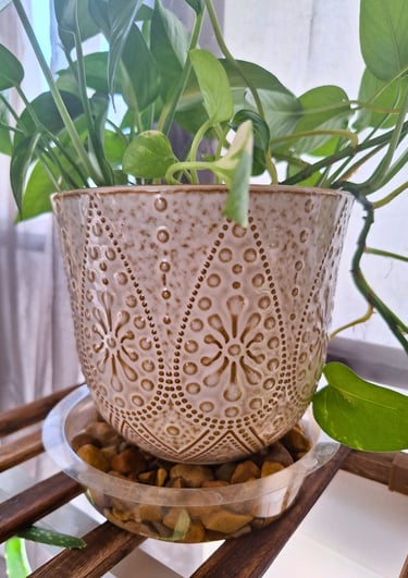 Ceramic beaded planter set for indoor houseplants with drainage and saucers