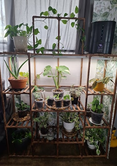 Tall indoor plant stand used for displaying houseplants in a cozy plant nook.