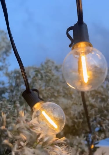 Warm glowing outdoor globe string lights hanging against a twilight sky and white blooming trees.