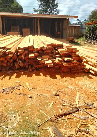 Cypress Timber Planks in Eldoret Timber Yard