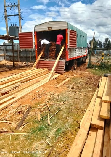 High-quality Blue Gum timber stacked for sale in Eldoret timber yard