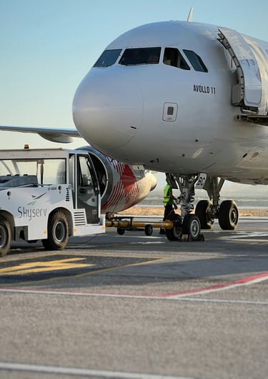 Seguridad aérea Expllicada