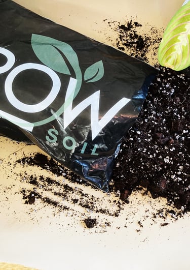terreau Grow Soil pour plantes tropicales