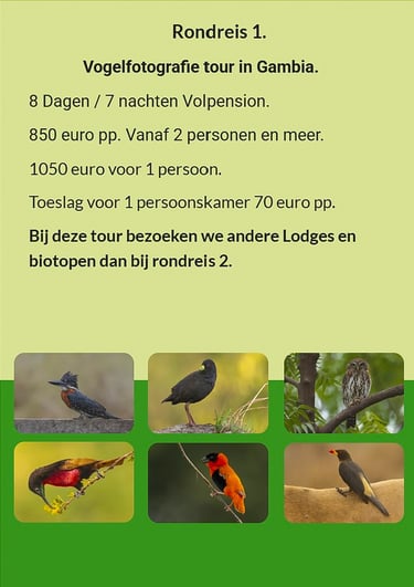 Flyer Rondreis 1 – 8-daagse vogelfotografie tour in Gambia. Volpension. Prijs vanaf €850 p.p. Inclus