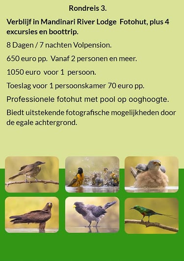 Flyer Rondreis 3 – 8-daagse vogelfotografie tour in Gambia. Volpension. Prijs vanaf €650 p.p. Inclus