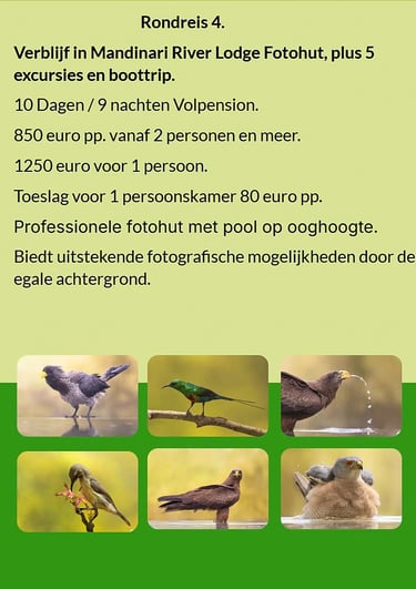 Flyer Rondreis 3 – 8-daagse vogelfotografie tour in Gambia. Volpension. Prijs vanaf €850 p.p. Inclus