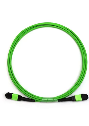 MPO Patch Cord Multimode Fast Transmit Speed High Density OM3 OM4 OM5 Fiber Optic Patch Cord