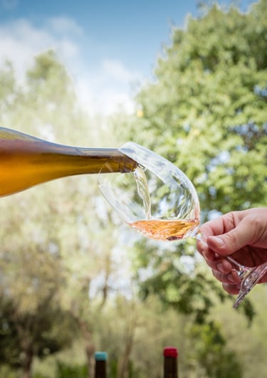 a person pouring wine into a glass of wine