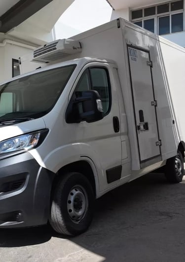 furgoneta isotermo
