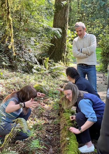 team exploring the Bainbridge Island forest during a guided team building hike