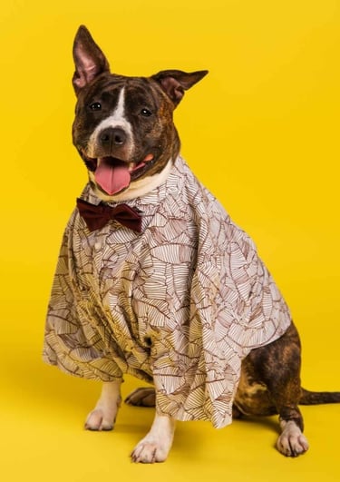 Un perro pitbull atigrado con una camisa estampada y pajarita sobre un fondo amarillo brillante..