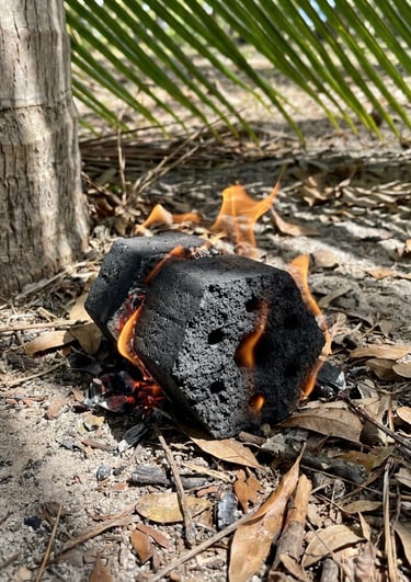 Hexagonal coconut shell charcoal for barbeque