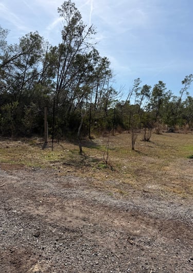 Junk removal completed leaving property clean in Deltona FL by SunWave Junk Removal