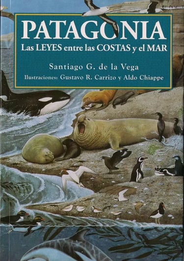 Patagonia las Leyes entre las Costas y el Mar
