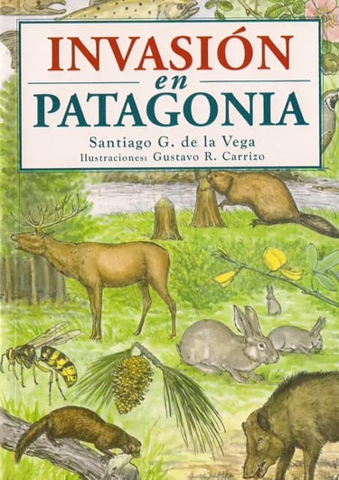 Invasión en Patagonia