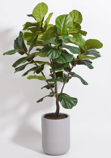 Faux Fiddle leaf Fig tree indoor plant