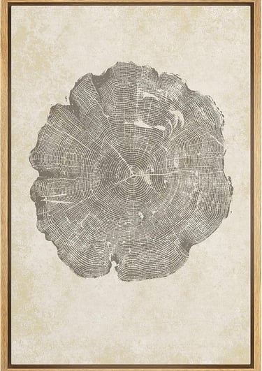 Framed Canvas Print Wall Art Wood Tree Rings