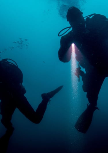 Zwei Taucher beim Nachttauchen Specialdive