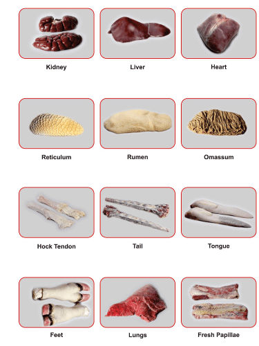 Halal buffalo offals—cleaned, processed, and packed for export as per global quality standards.