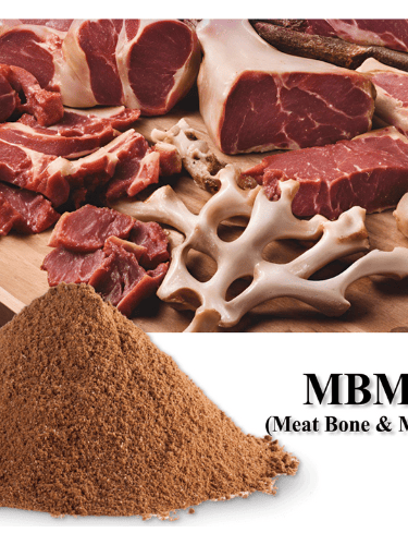 High-protein meat and bone meal (MBM) from buffalo byproducts—processed for export-grade use.