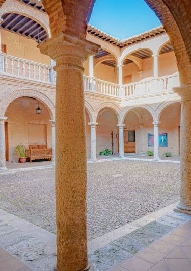 actividades para estudiantes universidad