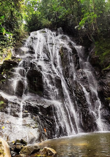 Ruta El Fierro en Anzoátegui Tolima, caminata suave junto al río y bosque nativo.