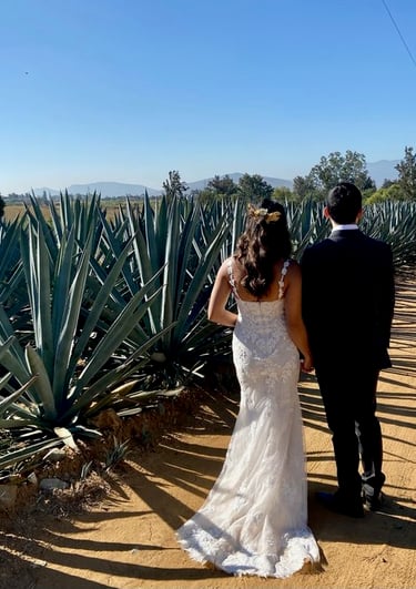 a bride and groom walking down a path in front of a cactus plant