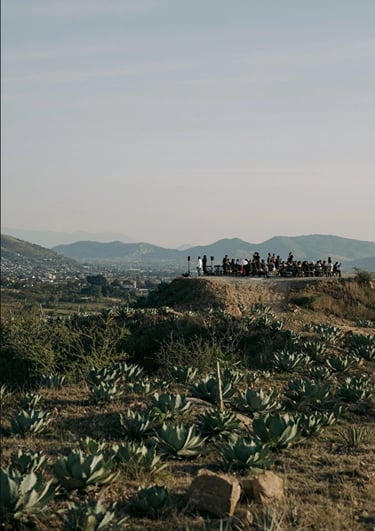 a group of people riding on a hill