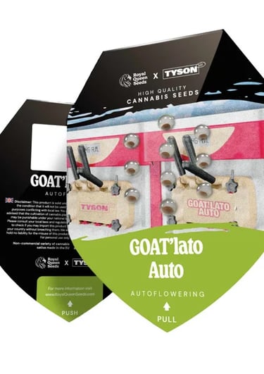 a pair of skateboarders with a goatatoo