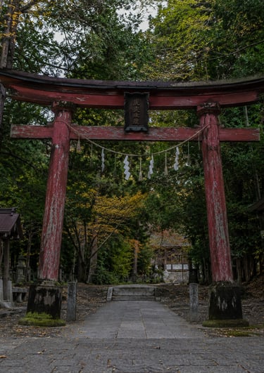 A weathered red wooden torii gate marks the entrance to a traditional Japanese Shinto shrine in a lush forest.