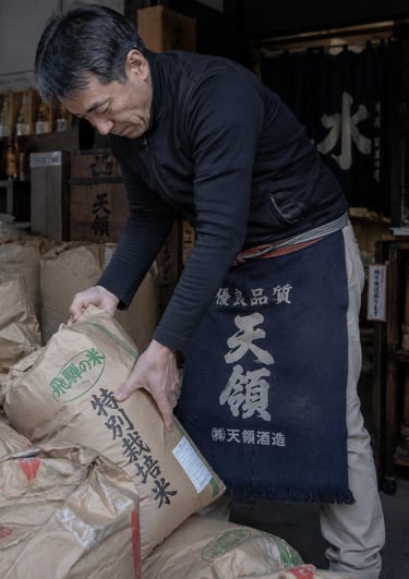 A Japanese worker lifts a heavy sack of rice at a traditional sake brewery in Japan.