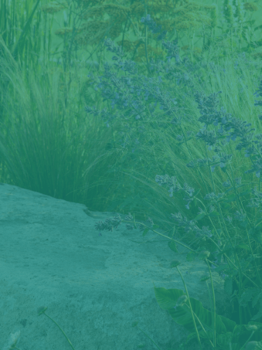 Horticulture & Landscaping Virtual Assistant Admin Services