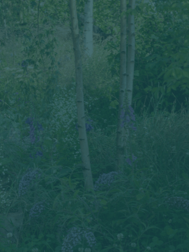 Virtual Assistant: Landscaping Project Support