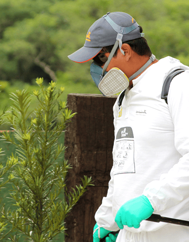 controle de pragas em jardim