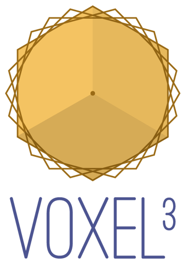 voxel³
