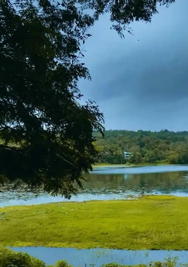 richindiaclubsresorts