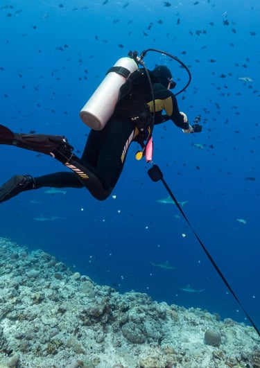 Deep Diving bei Specialdive