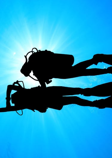 zwei Taucher die navigieren Specialdive